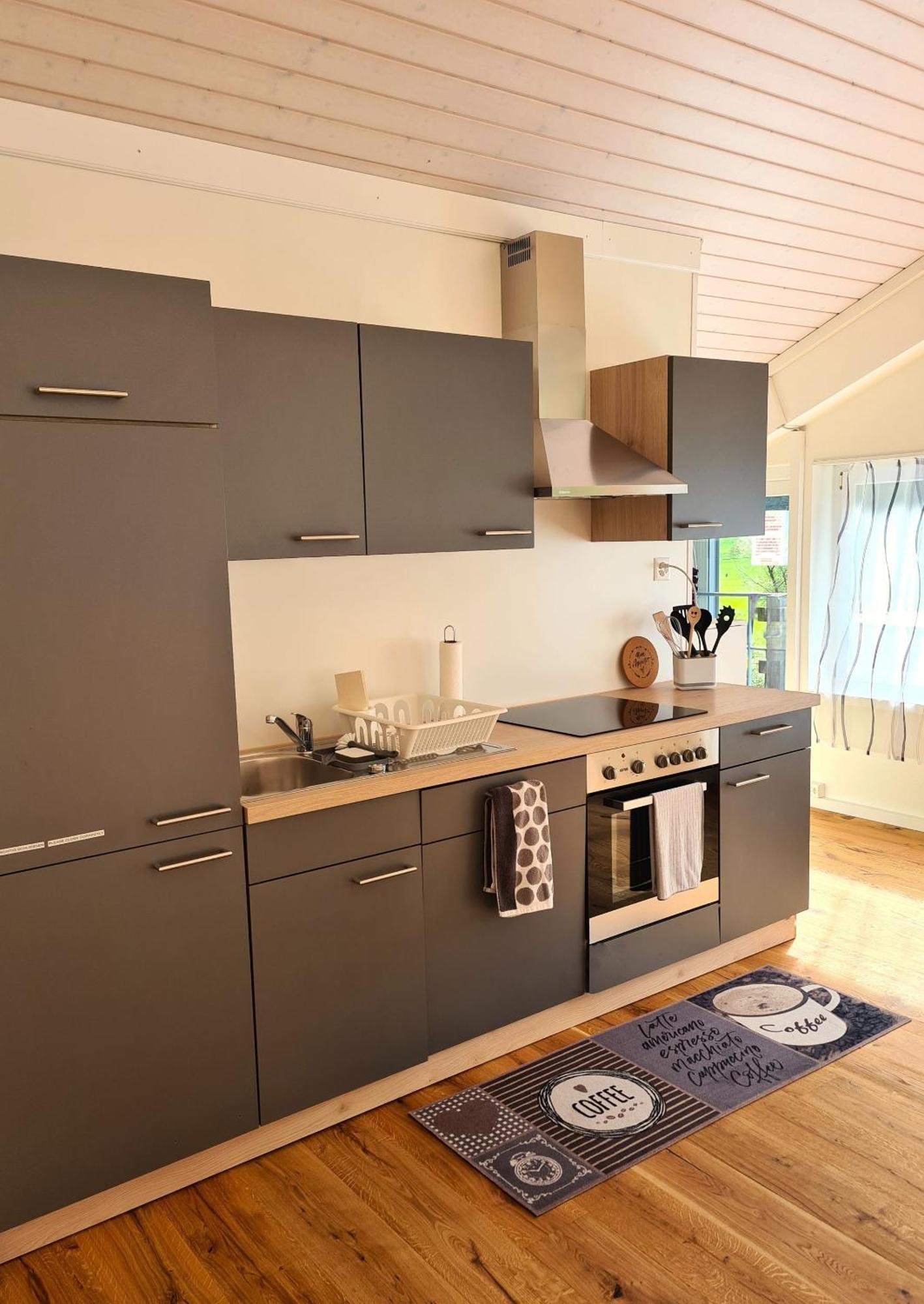 Muota River Loft & Muota Industry Apartment Near Stoos Muotathal Dış mekan fotoğraf