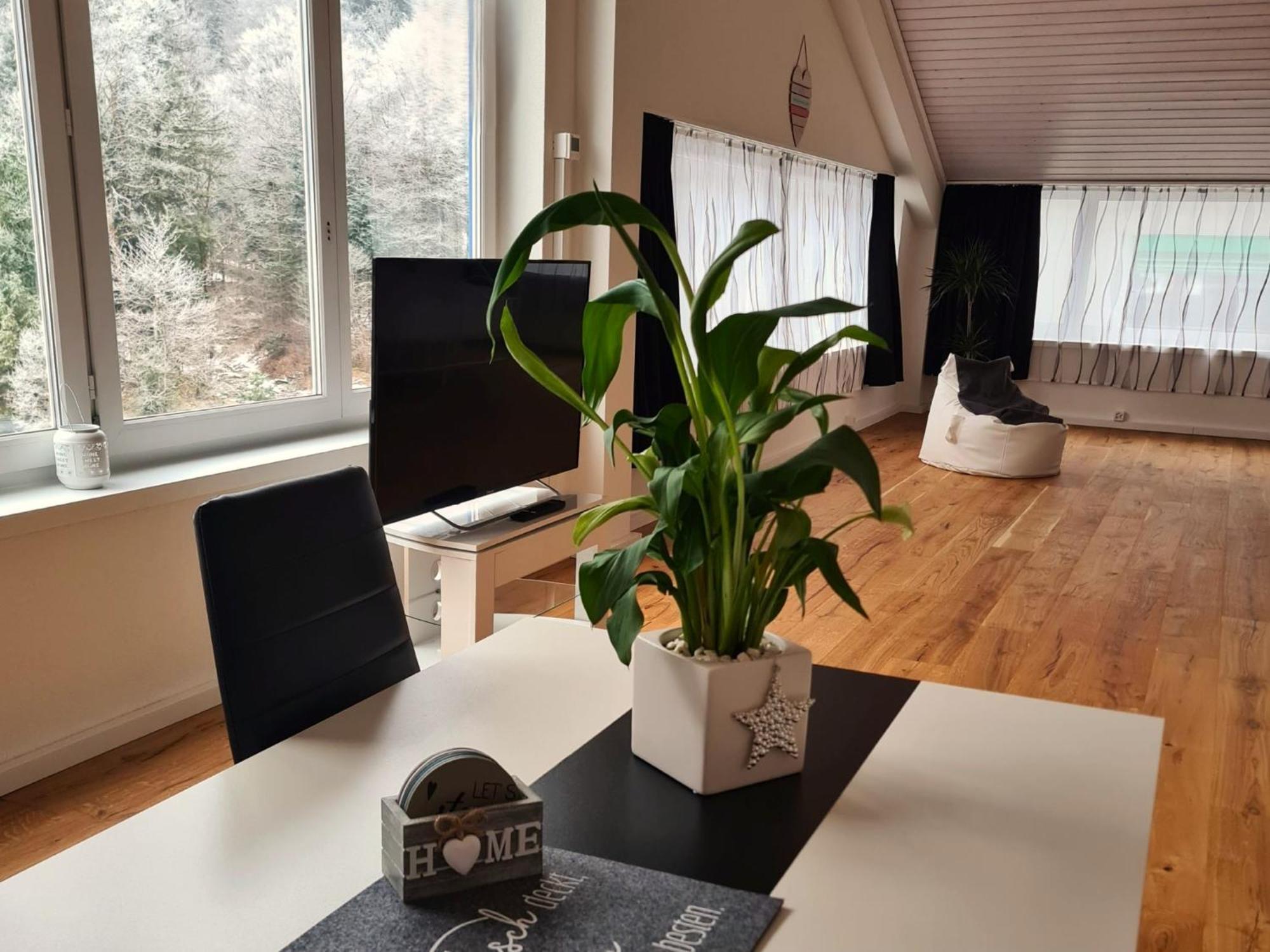 Muota River Loft & Muota Industry Apartment Near Stoos Muotathal Dış mekan fotoğraf